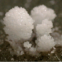 Французские ученые объяснили явление образования кристаллов соли необычной формы на стенах помещений