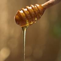 Ученые объяснили, почему мед особенным образом перетекает из одного сосуда в другой с образованием прочных нитей