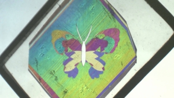 Анизотропное вещество между поляризаторами: слюдяная бабочка