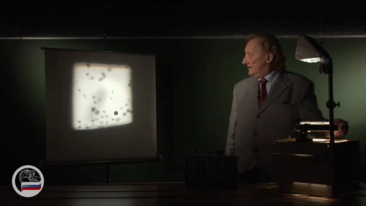 Модель распределения Больцмана