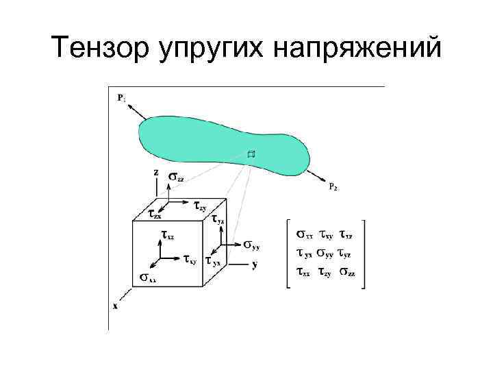 Tenzor. Тензор механических напряжений. Тензор упругих напряжений. Тензор напряжений Максвелла. Тензор напряжений в жидкости.