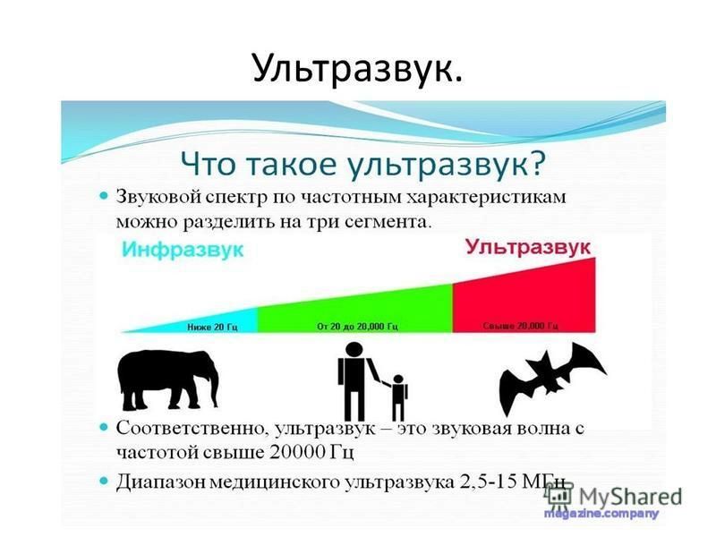 Ультразвук слушать. Ультразвук. Ультразвуковой. Ультразвук и инфразвук. Инфографика ультразвук.